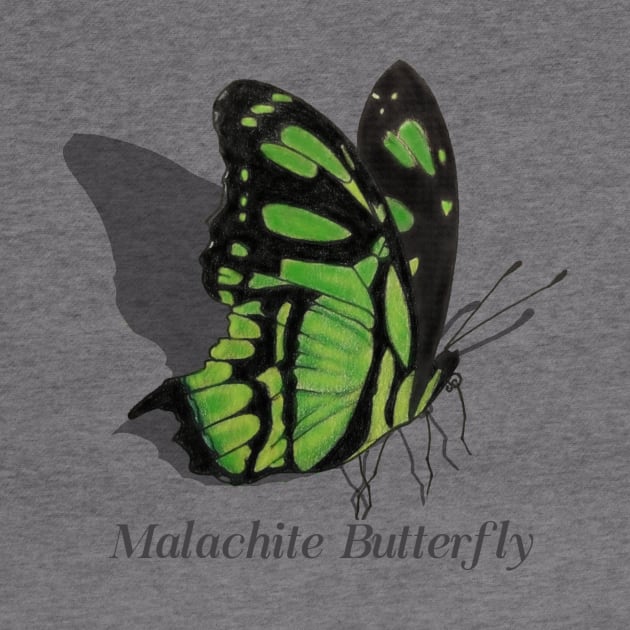 Malachite Butterfly Labeled by ArtAndBliss